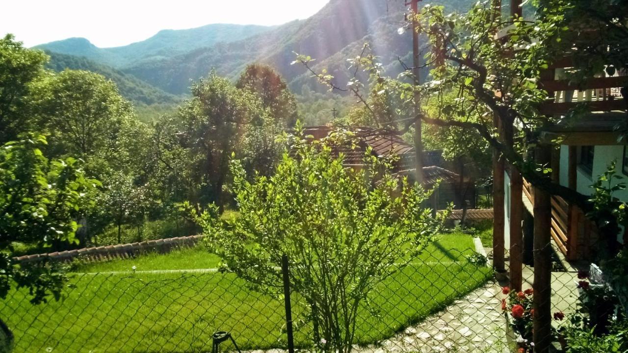 Konak Jerma Pirot Dış mekan fotoğraf