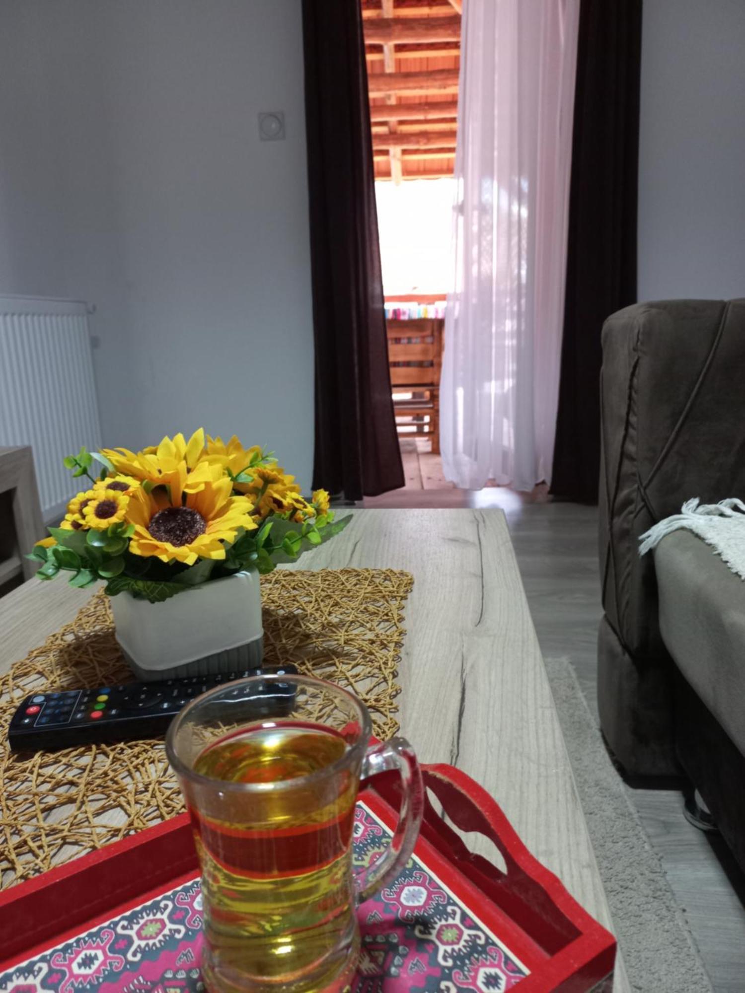 Konak Jerma Pirot Dış mekan fotoğraf